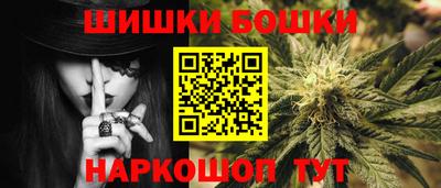 дмт Гатчина