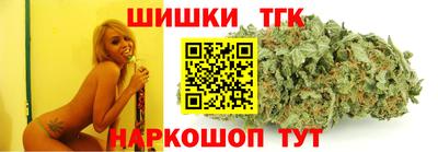 дмт Гатчина