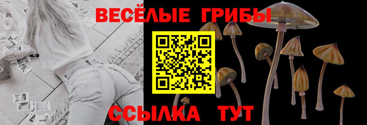 Псилоцибиновые грибы Psilocybine cubensis  Псилоцибиновые грибы MAGIC MUSHROOMS  Уварово  цены наркотик  Вход с VPN 